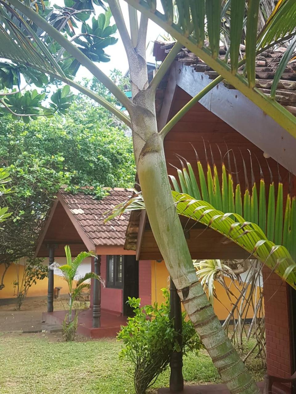 Dreamvillage Dodanduwa Exteriér fotografie